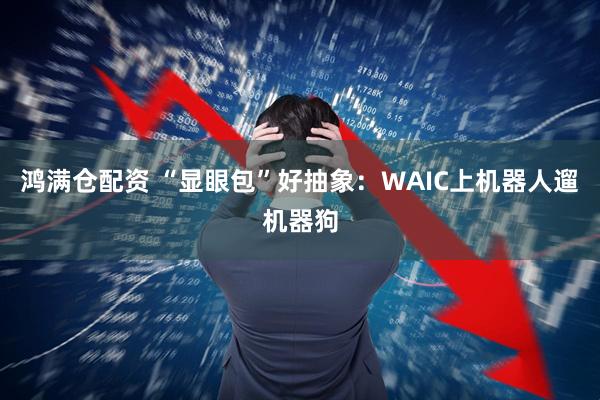 鸿满仓配资 “显眼包”好抽象：WAIC上机器人遛机器狗