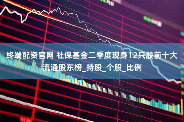 终端配资官网 社保基金二季度现身12只股前十大流通股东榜_持股_个股_比例
