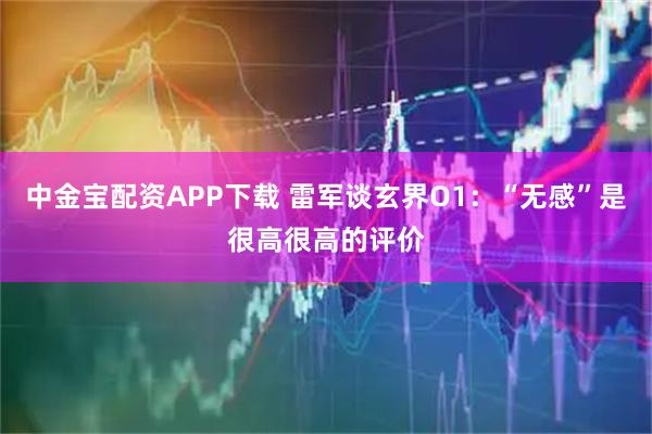 中金宝配资APP下载 雷军谈玄界O1：“无感”是很高很高的评价